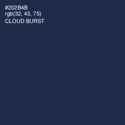 #202B4B - Cloud Burst Color Image